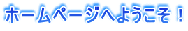 ホームページへようこそ!